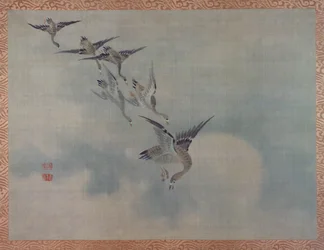 Canards volants, 1851